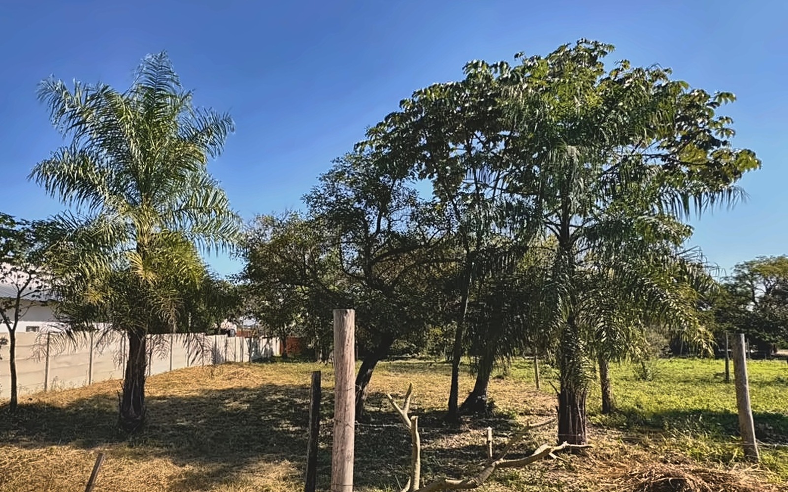Terreno en Santa Ana · cercanías de Laguna Soto